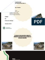 Estudio de Evaluación de Impacto Ambiental en Proyectos