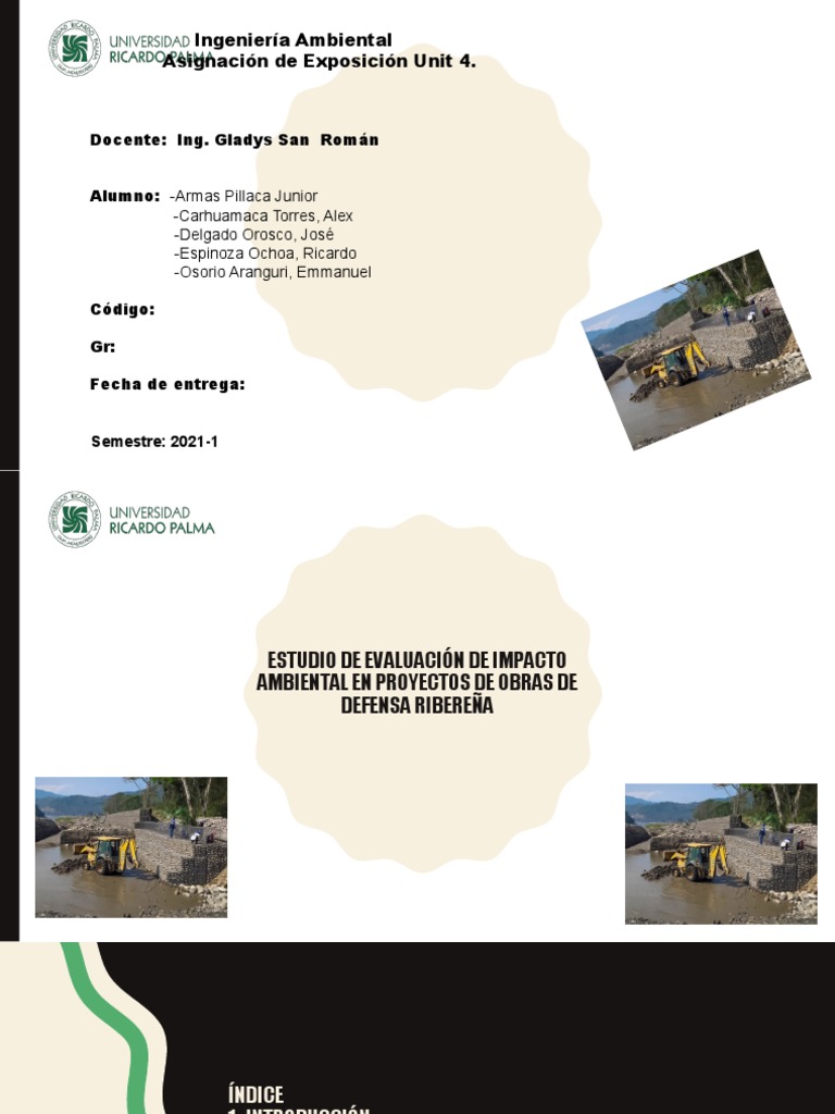Estudio de Evaluación de Impacto Ambiental en Proyectos | PDF | Control ...