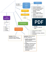 Mapa Conceptual