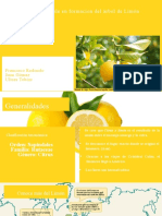 Presentacion Limon