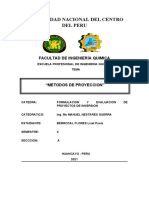 Formulacion Proyectos de Inversion - Metodos de Proyeccion