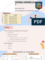 8C Reacciones Generales Del Metabolismo de Los Aminoácidos. Balance Nitrogenado Ejm