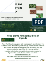 Food Plants For Healthy Diets Uganda