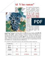 04-QuiénessonlasRAMASdelaVID (1)