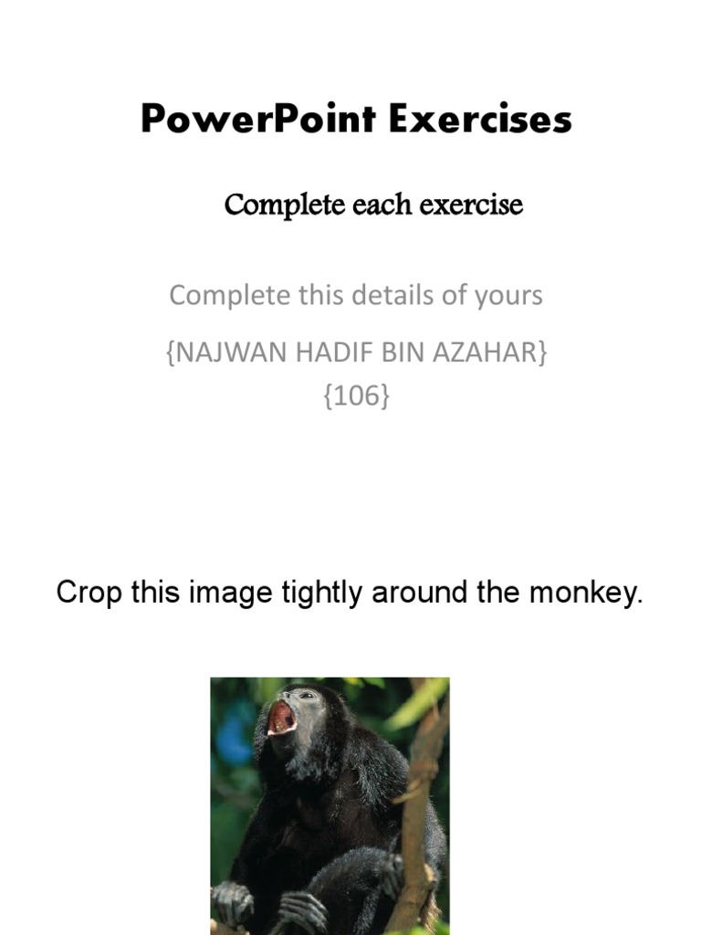 PowerPoint Design Exercises Guide | PDF