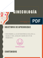 Ciclo Menstrual