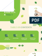 Tema 4. Sistema Radicular