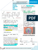 19-B-26!06!19 Carbohidratos Estructurales en El Hombre