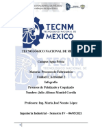 Procesos de Peletizado y Coquizado Tecnológico Nacional de México Campus Agua Prieta