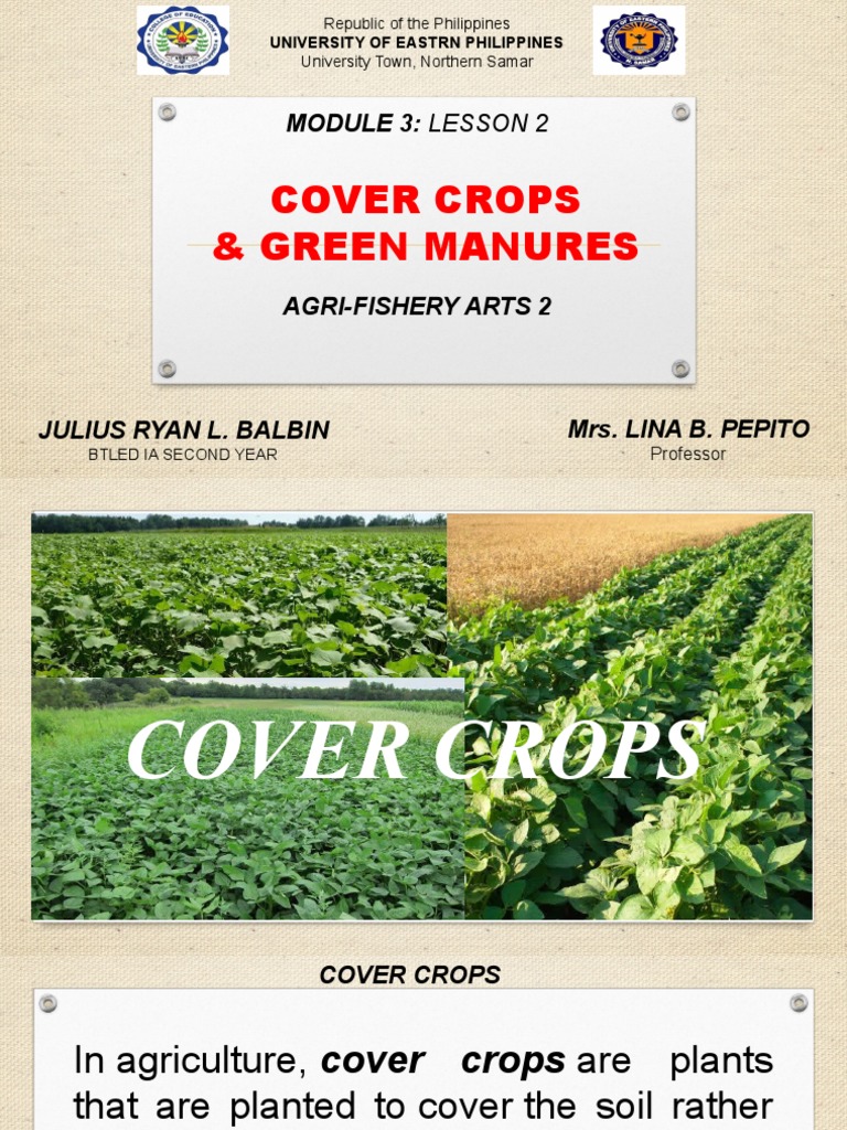 Benefits of Cover Crops and Green Manures A Comparison of Their Uses in Improving Soil Health