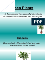 Green Plants - 2