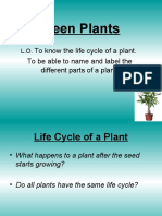 Green Plants: To Know The Life Cycle of A Plant. To Be Able To Name and Label The Different Parts of A Plant