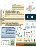 Plants Knowledge Organiser v1