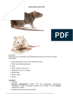 Gonadoctomy in Rat