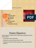 Sistem Digestiva Janin