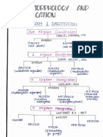 plant morphology and classification