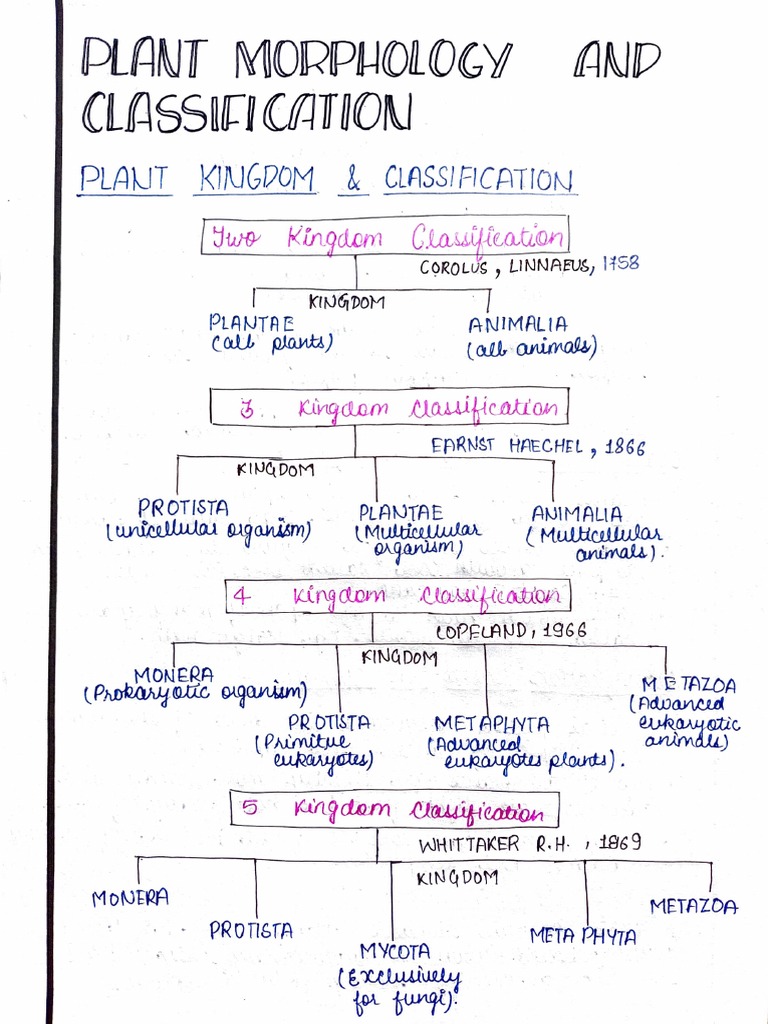 Plant Kingdom Classification Overview | PDF | Taxa | Botany