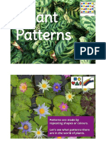 Plant Patterns