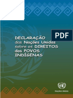 Declaracao Das Nacoes Unidas Sobre Os Direitos Dos Povos Indigenas
