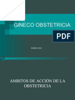 Ambitos de Accion Gineko