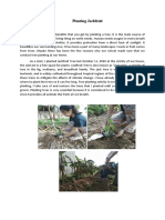 Narrative Report Tree Planting