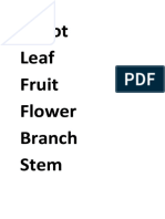 Parts of Plant