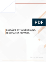 Gestão de Processos Da Segurança Privada