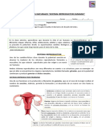 6° Básico Ciencias Naturales