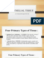 Epithelial Tissue: - Are Widespread Throughout The Body