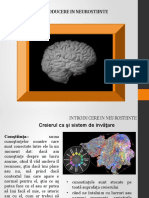 Curs 6 Neurostiinte