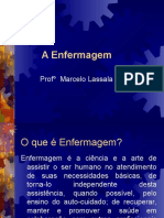 Aula 1 conceituando o Enfermeiro