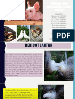 Tlh - Reproduksi Hewan Jantan