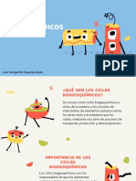 Alteraciones de Los Ciclos Biogeoquìmicos