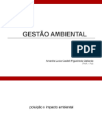 aula_Gestao ambiental Amarilis_2018