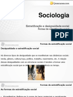 1 Ano - Formas de Estratificação Social