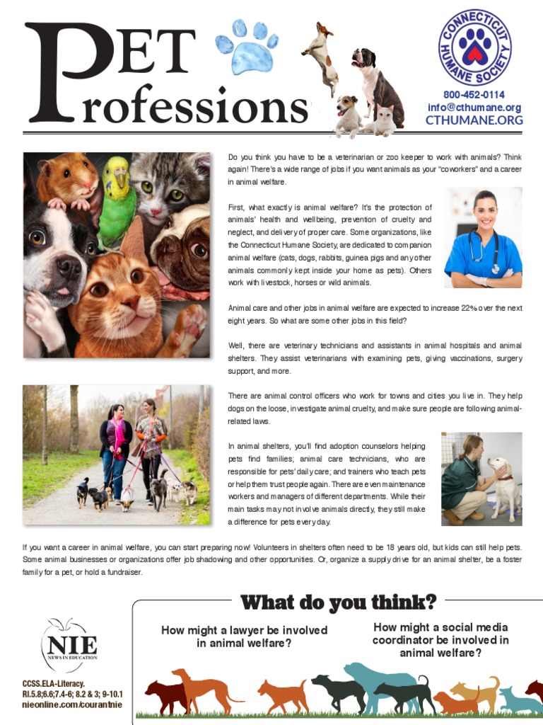 NIE Humane Society Nov 2019 Proof3 | PDF | Pet | Animal Welfare