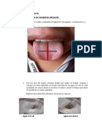 Informe 1 de Anatomia