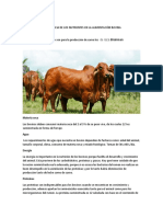 Reconocer La Importancia de Los Nutrientes en La Alimentación Bovina