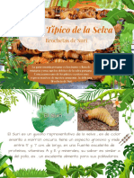 Trabajo Plato Tipico de La Selva