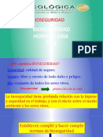 BIOSEGURIDAD HOSPITALRIA Presentacion t.-5