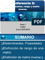 Conf Determinantes