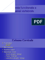 10.coloană vertebrală