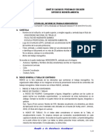 Estructura informe monografía ingeniería ambiental UNT