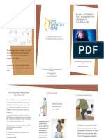 Reh-Fto-01 Plan Casero de Accidente Cerebrovascular