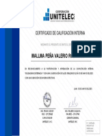 HSEQ-InT-015 Mallma Peña Valerio Robinson