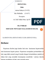 Hepatoma DR Didi