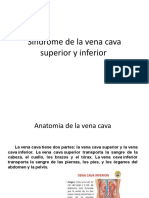 Sindrome de La Vena Cava Superior y Inferior