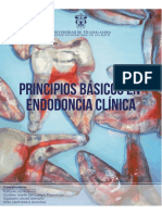 Principios Basicos en Endodoncia