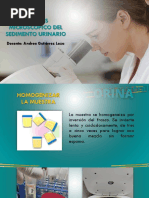 Análisis microscópico del sedimento urinario