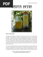 Download Kefir Water by shannonsony SN51758666 doc pdf